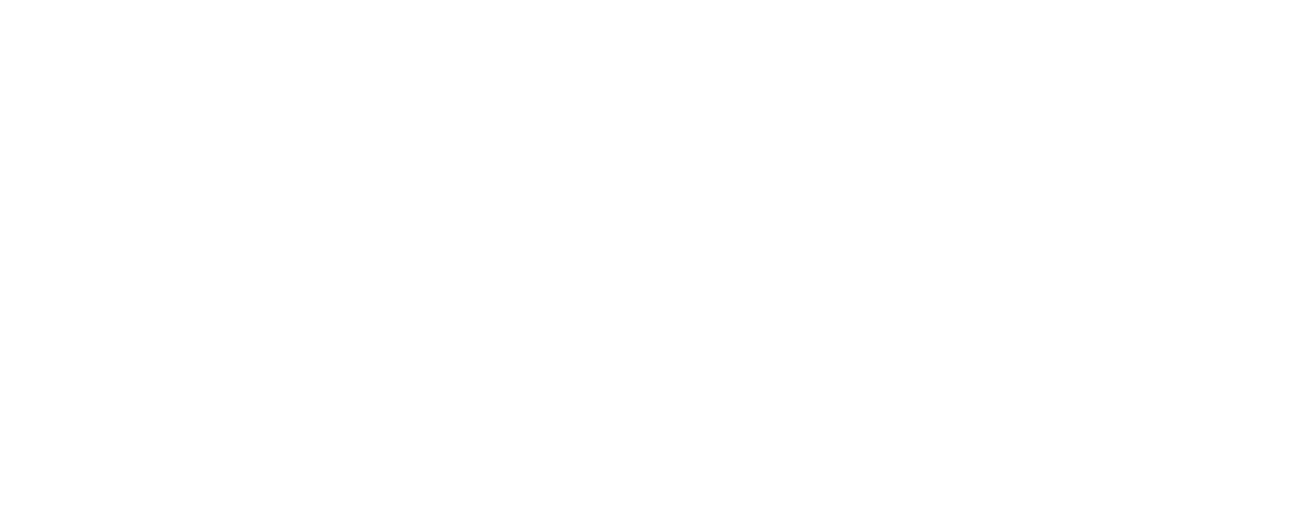 OK HOLDING